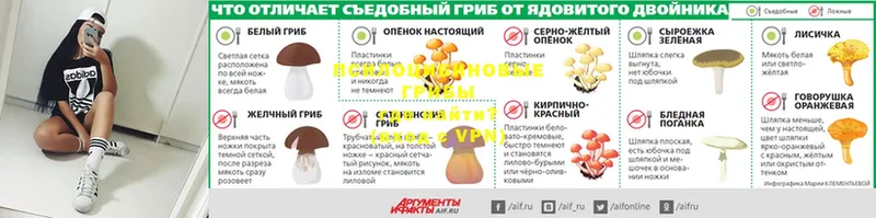 Псилоцибиновые грибы Magic Shrooms  Нефтекамск 